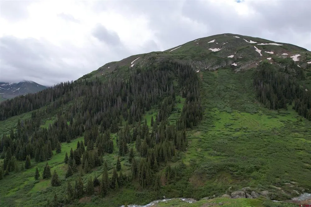 820 County Road 9 Silverton, CO 81433