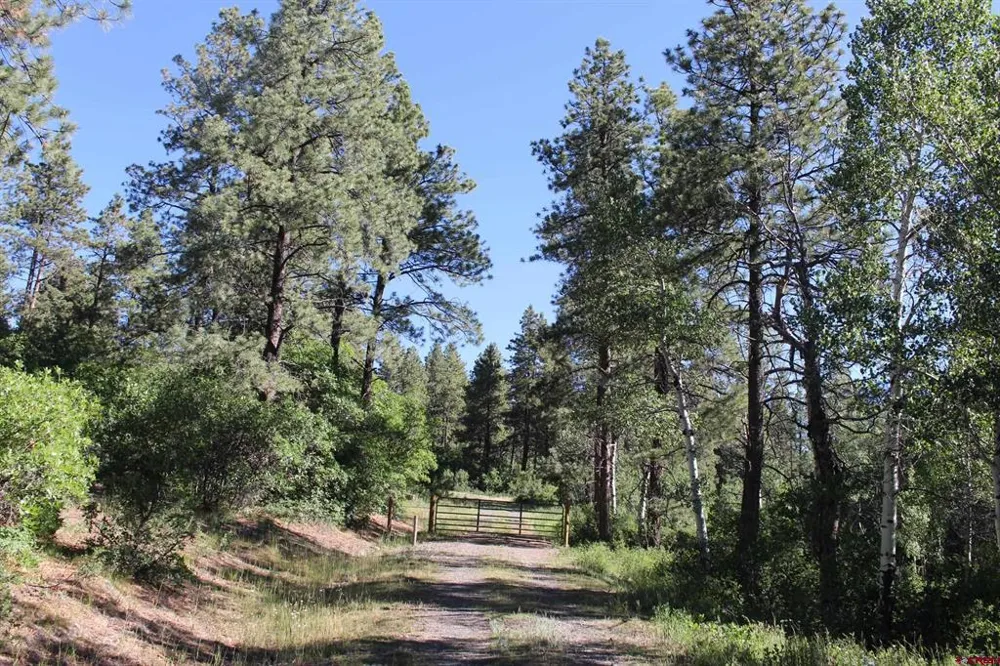 1422 Needles View Place Pagosa Springs, CO 81147