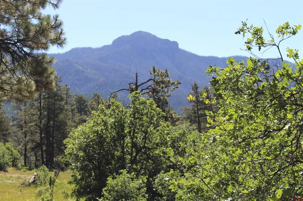 1422 Needles View Place Pagosa Springs, CO 81147