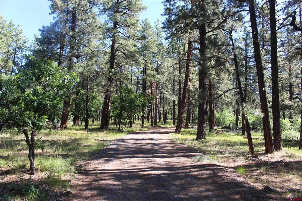 1422 Needles View Place Pagosa Springs, CO 81147
