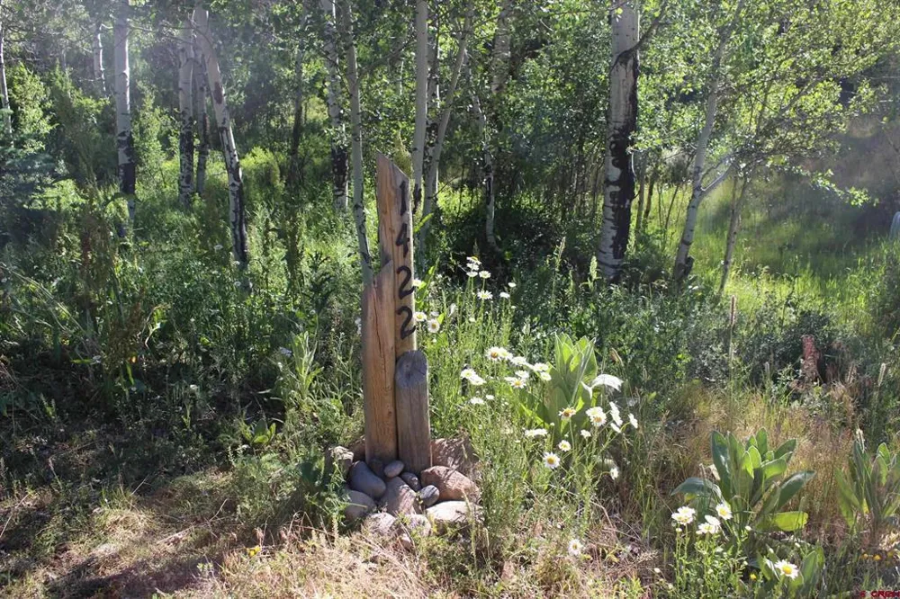 1422 Needles View Place Pagosa Springs, CO 81147