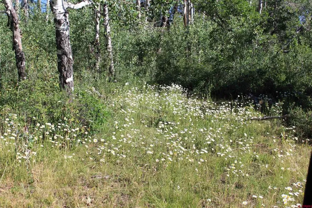 1422 Needles View Place Pagosa Springs, CO 81147