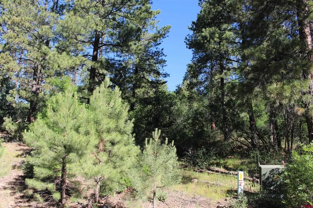 1422 Needles View Place Pagosa Springs, CO 81147