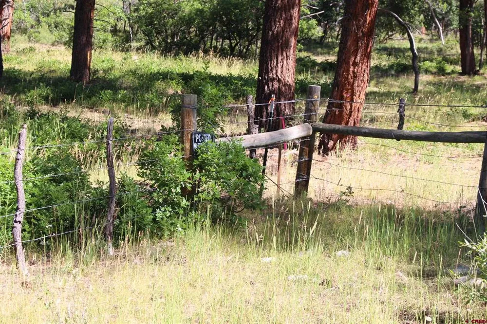 1422 Needles View Place Pagosa Springs, CO 81147