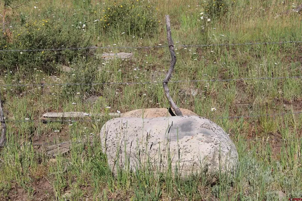 1422 Needles View Place Pagosa Springs, CO 81147
