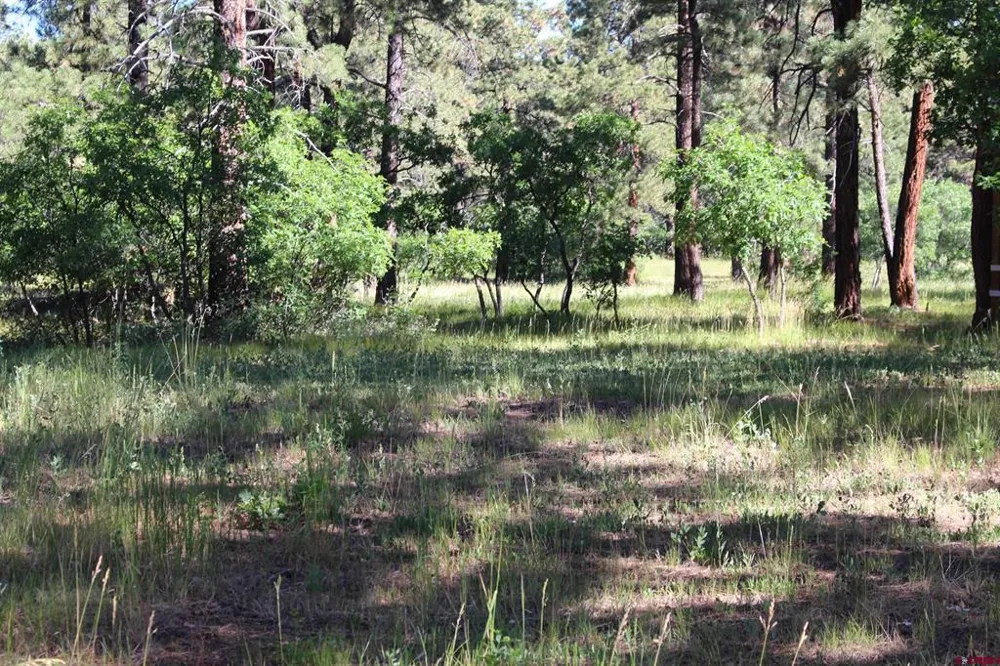 1422 Needles View Place Pagosa Springs, CO 81147