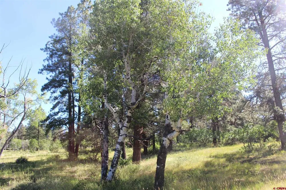 1422 Needles View Place Pagosa Springs, CO 81147