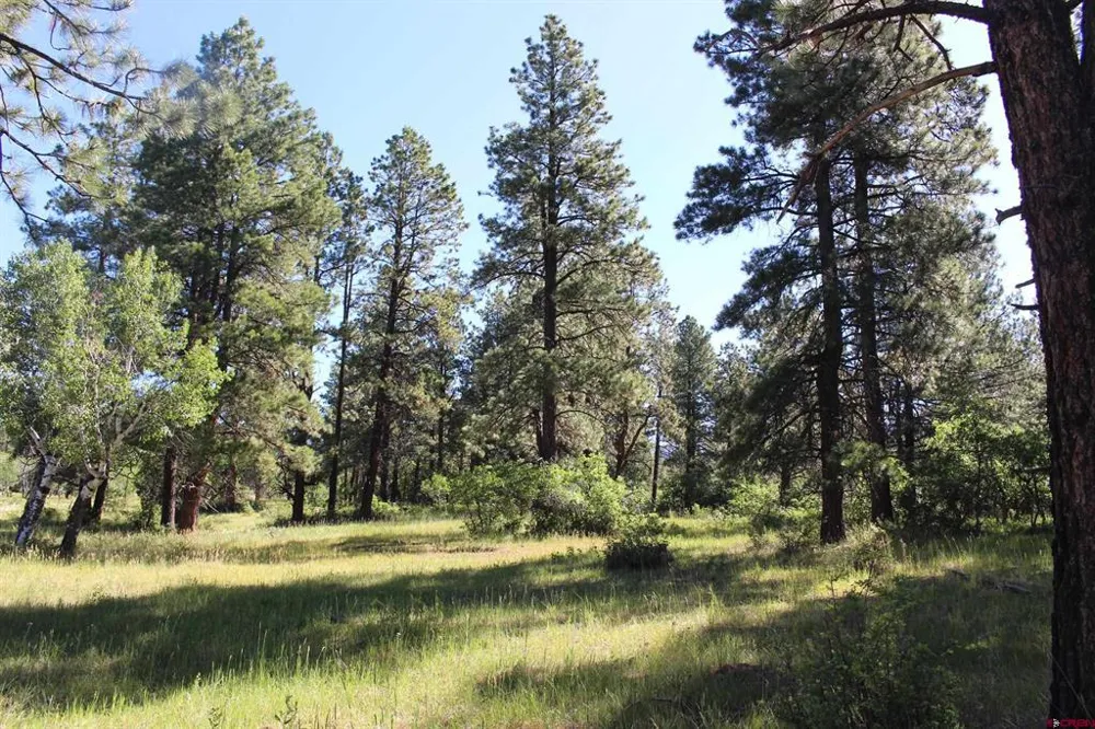 1422 Needles View Place Pagosa Springs, CO 81147