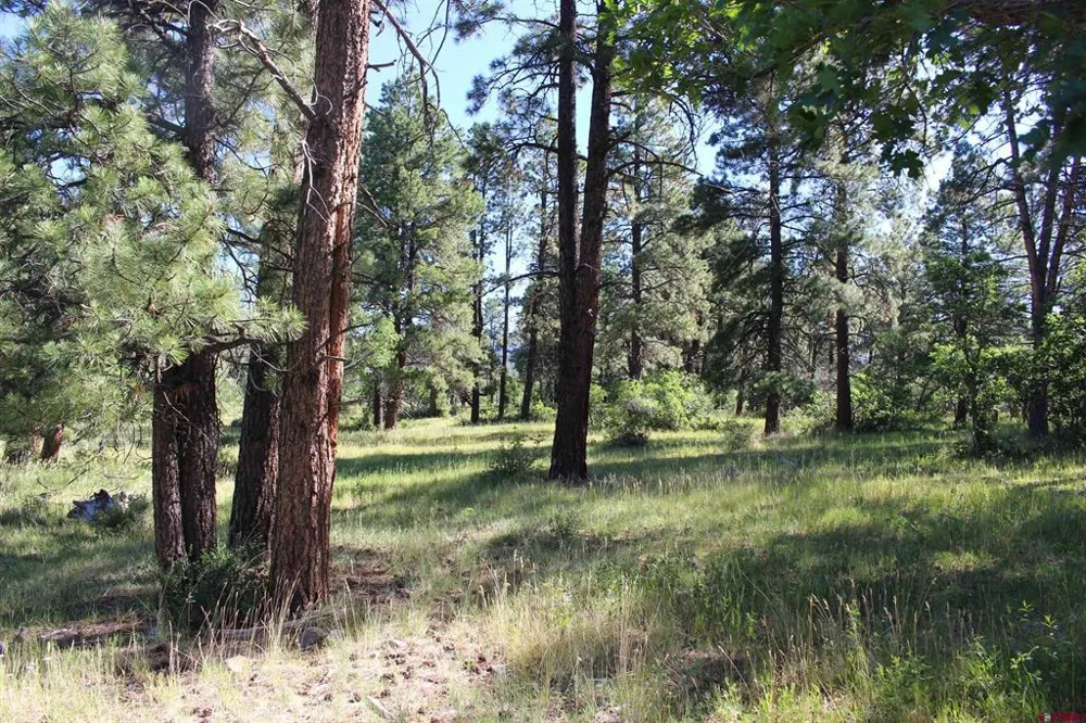 1422 Needles View Place Pagosa Springs, CO 81147