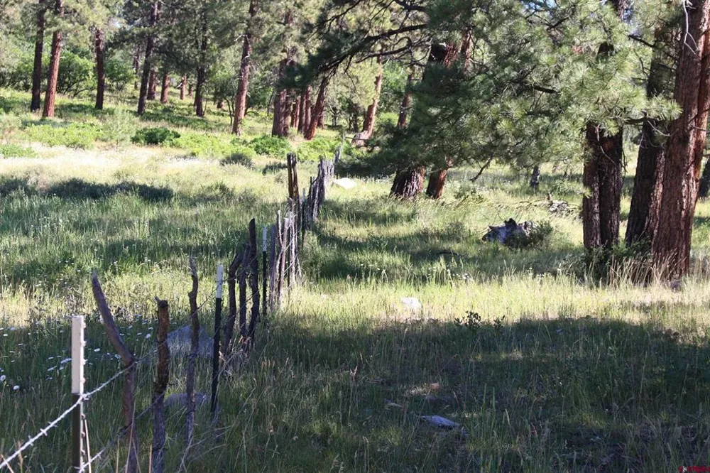 1422 Needles View Place Pagosa Springs, CO 81147