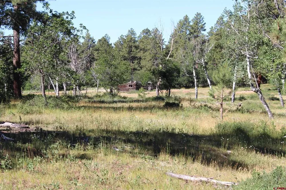 1422 Needles View Place Pagosa Springs, CO 81147