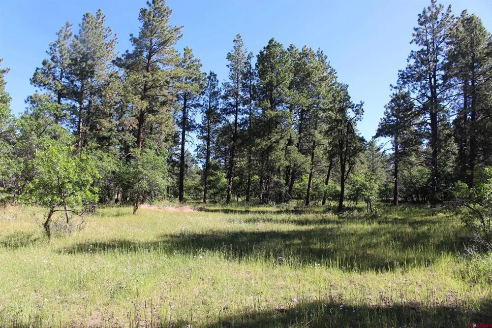 1422 Needles View Place Pagosa Springs, CO 81147