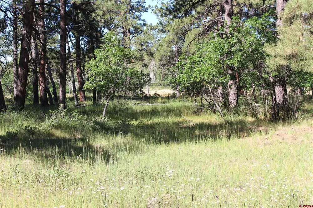 1422 Needles View Place Pagosa Springs, CO 81147