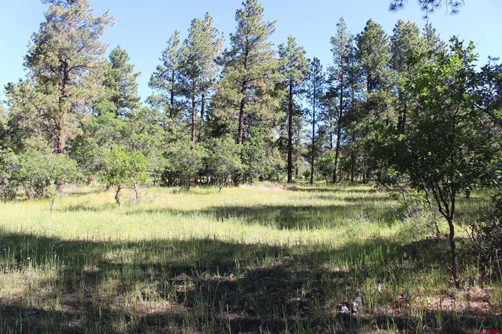 1422 Needles View Place Pagosa Springs, CO 81147