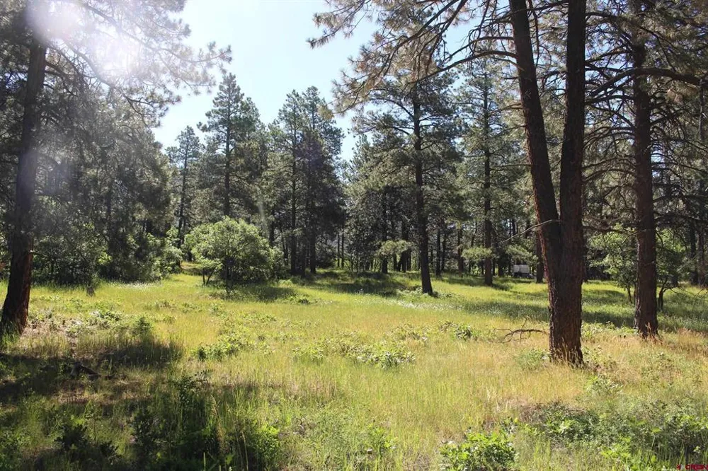 1422 Needles View Place Pagosa Springs, CO 81147