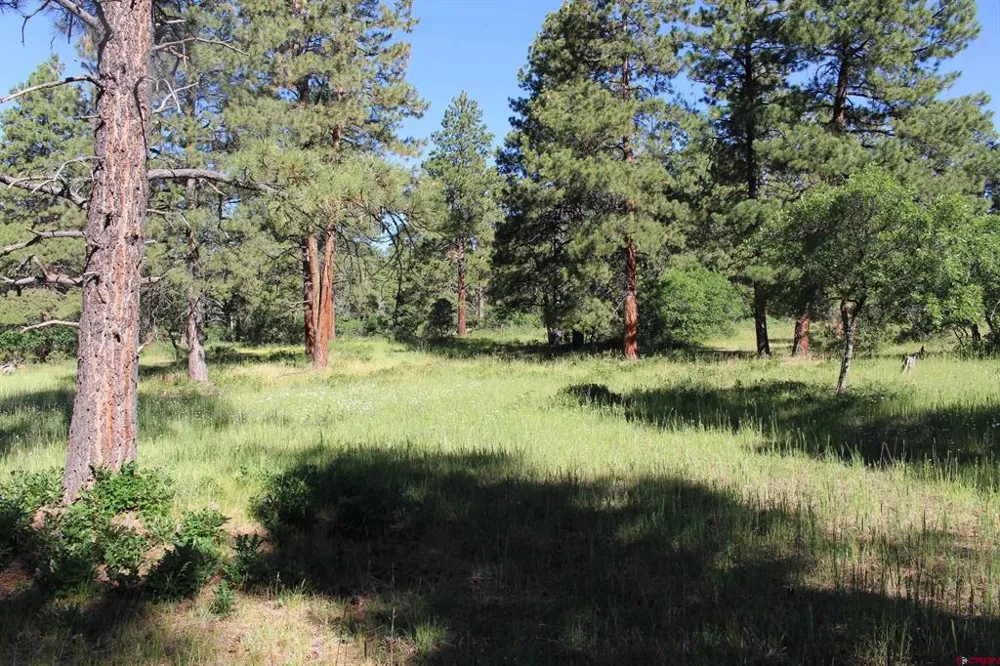 1422 Needles View Place Pagosa Springs, CO 81147