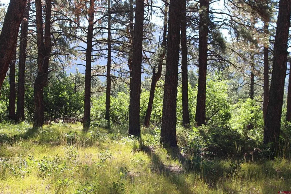1422 Needles View Place Pagosa Springs, CO 81147