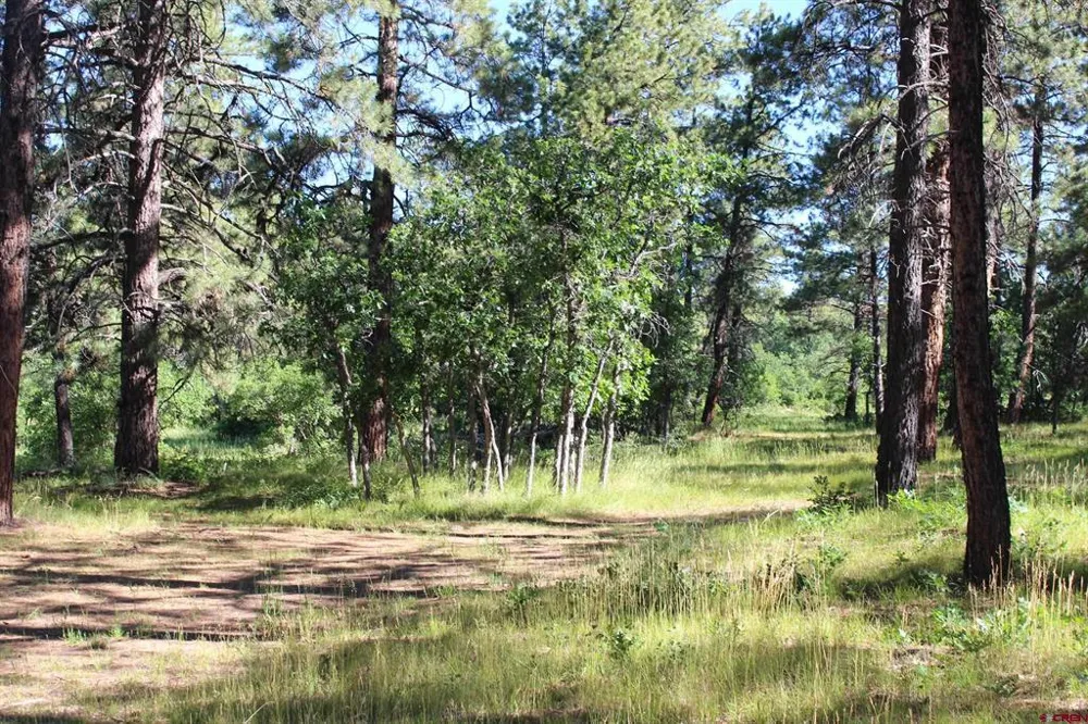 1422 Needles View Place Pagosa Springs, CO 81147