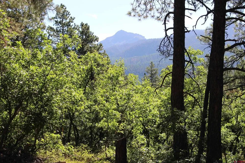 1422 Needles View Place Pagosa Springs, CO 81147