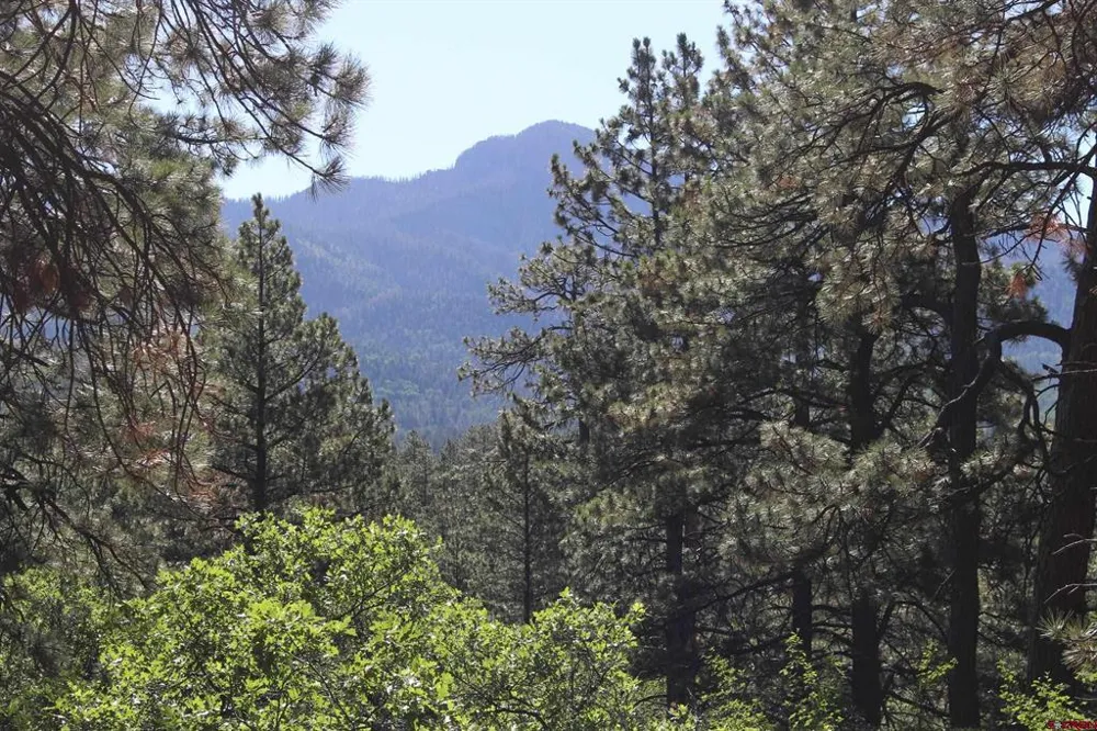 1422 Needles View Place Pagosa Springs, CO 81147