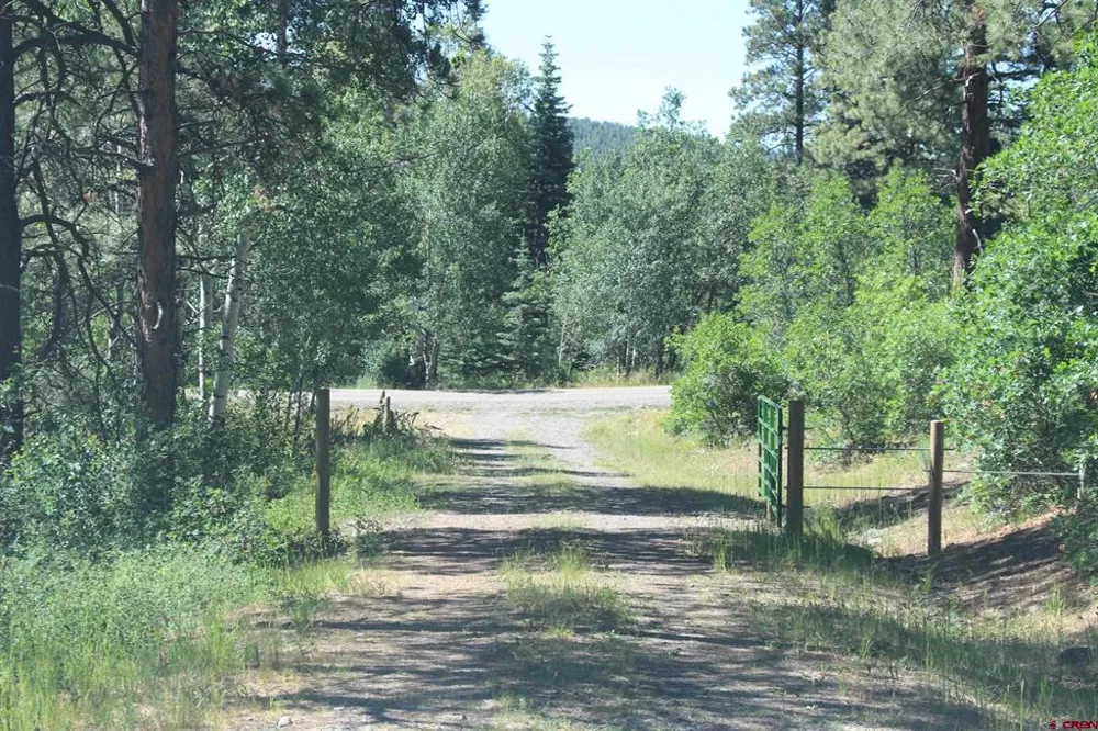 1422 Needles View Place Pagosa Springs, CO 81147