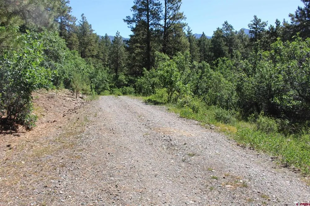 1422 Needles View Place Pagosa Springs, CO 81147
