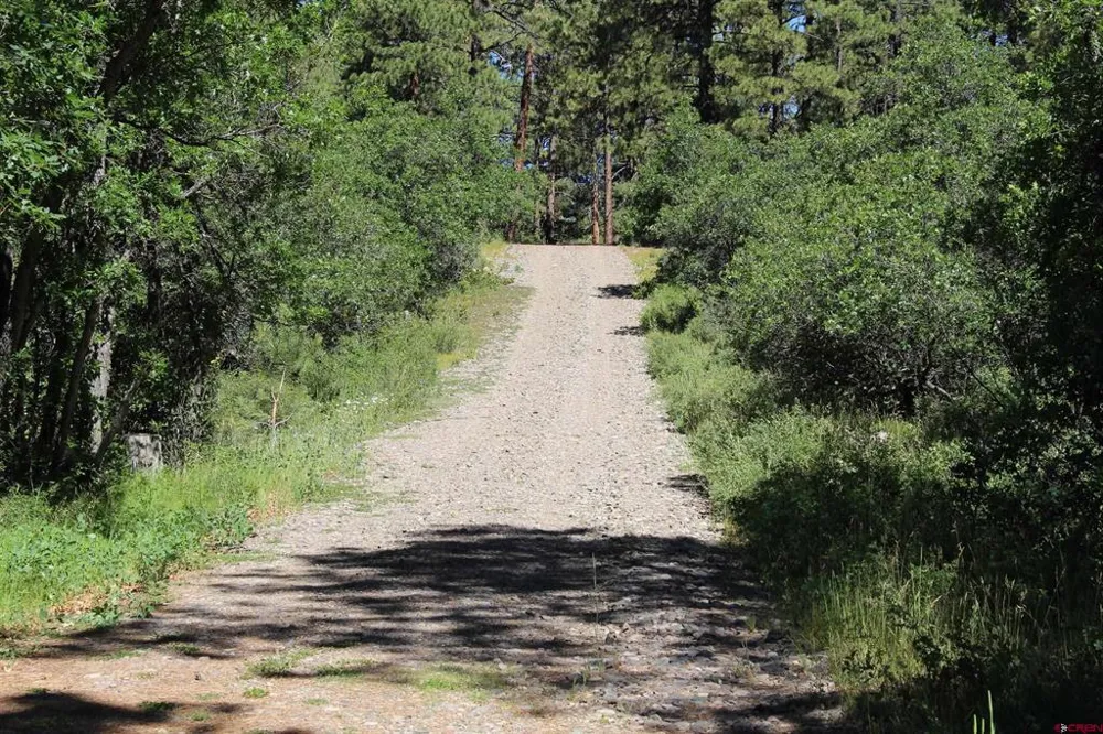 1422 Needles View Place Pagosa Springs, CO 81147