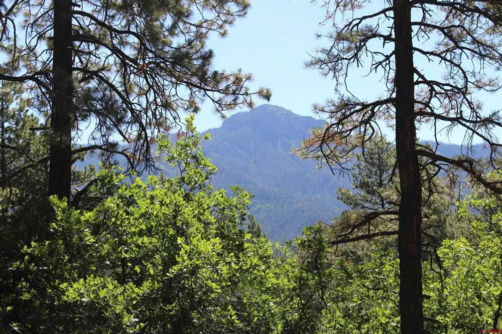 1422 Needles View Place Pagosa Springs, CO 81147