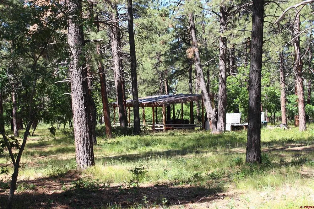 1422 Needles View Place Pagosa Springs, CO 81147