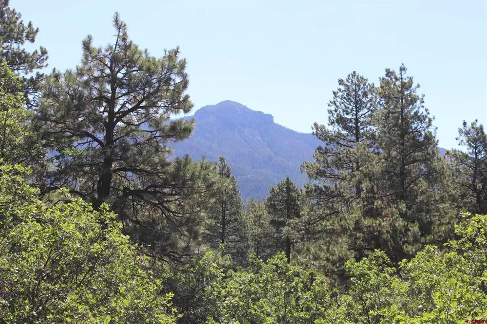 1422 Needles View Place Pagosa Springs, CO 81147