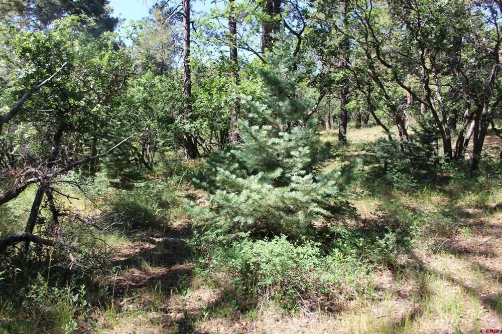 1422 Needles View Place Pagosa Springs, CO 81147