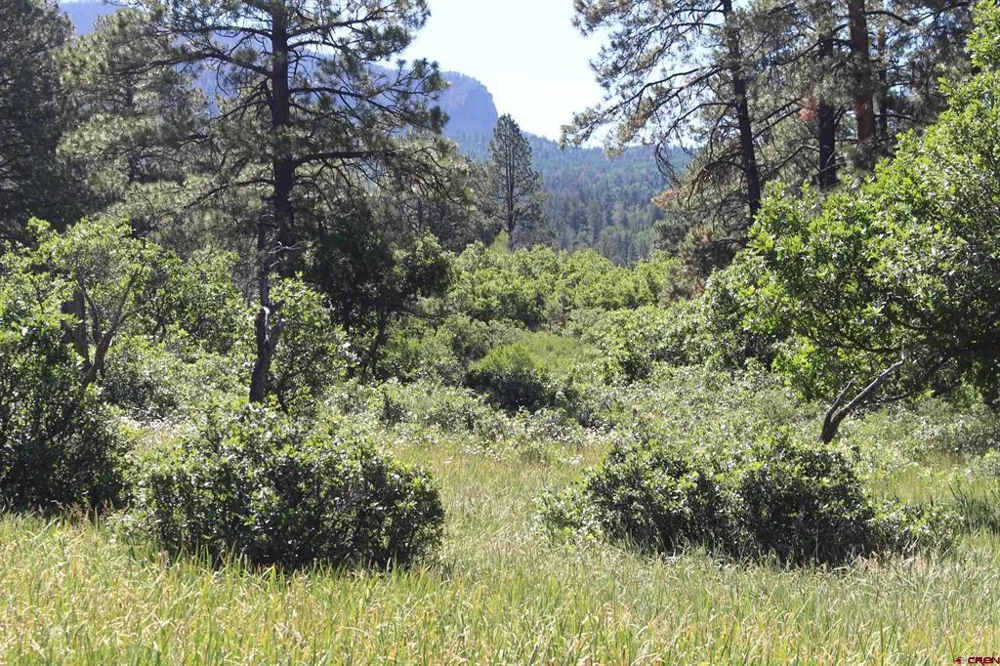 1422 Needles View Place Pagosa Springs, CO 81147