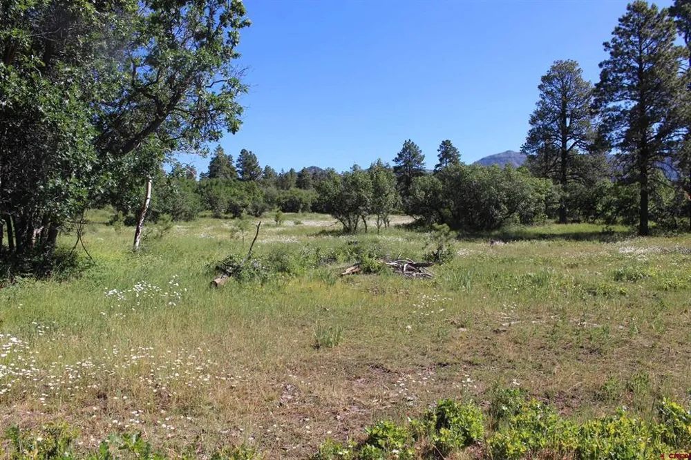 1422 Needles View Place Pagosa Springs, CO 81147