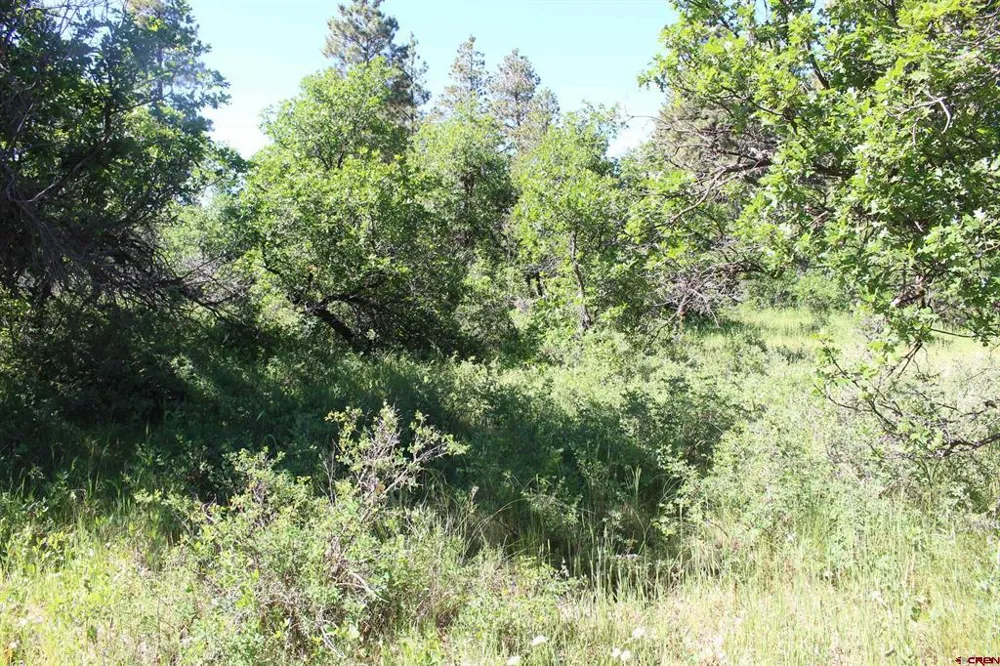 1422 Needles View Place Pagosa Springs, CO 81147