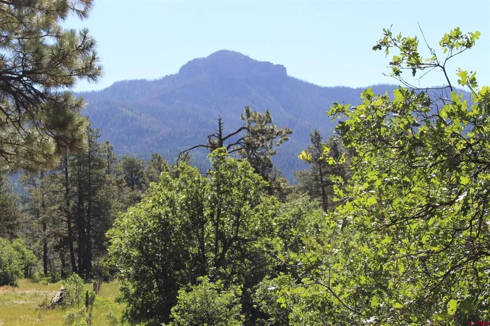 1422 Needles View Place Pagosa Springs, CO 81147