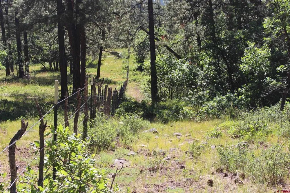 1422 Needles View Place Pagosa Springs, CO 81147
