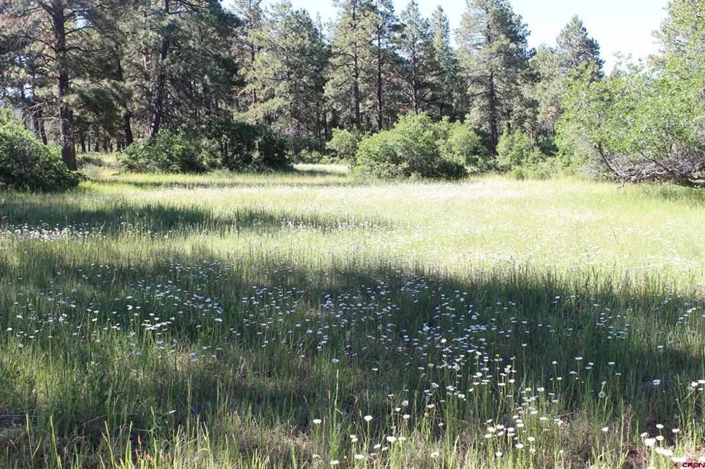 1422 Needles View Place Pagosa Springs, CO 81147