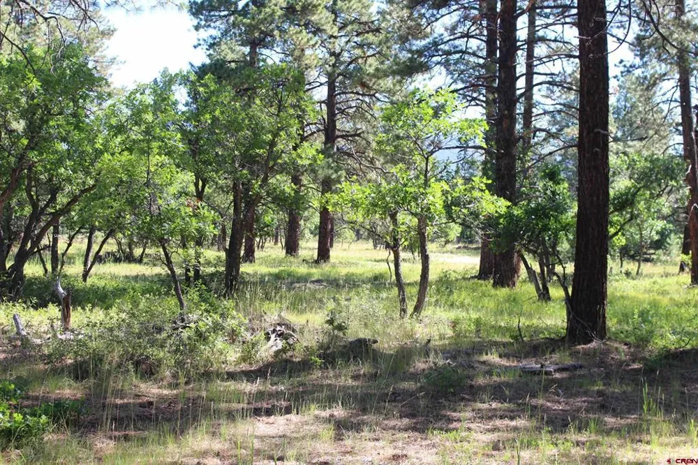 1422 Needles View Place Pagosa Springs, CO 81147