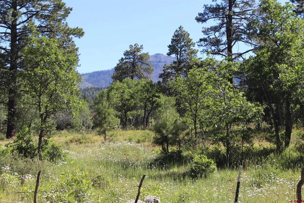 1422 Needles View Place Pagosa Springs, CO 81147