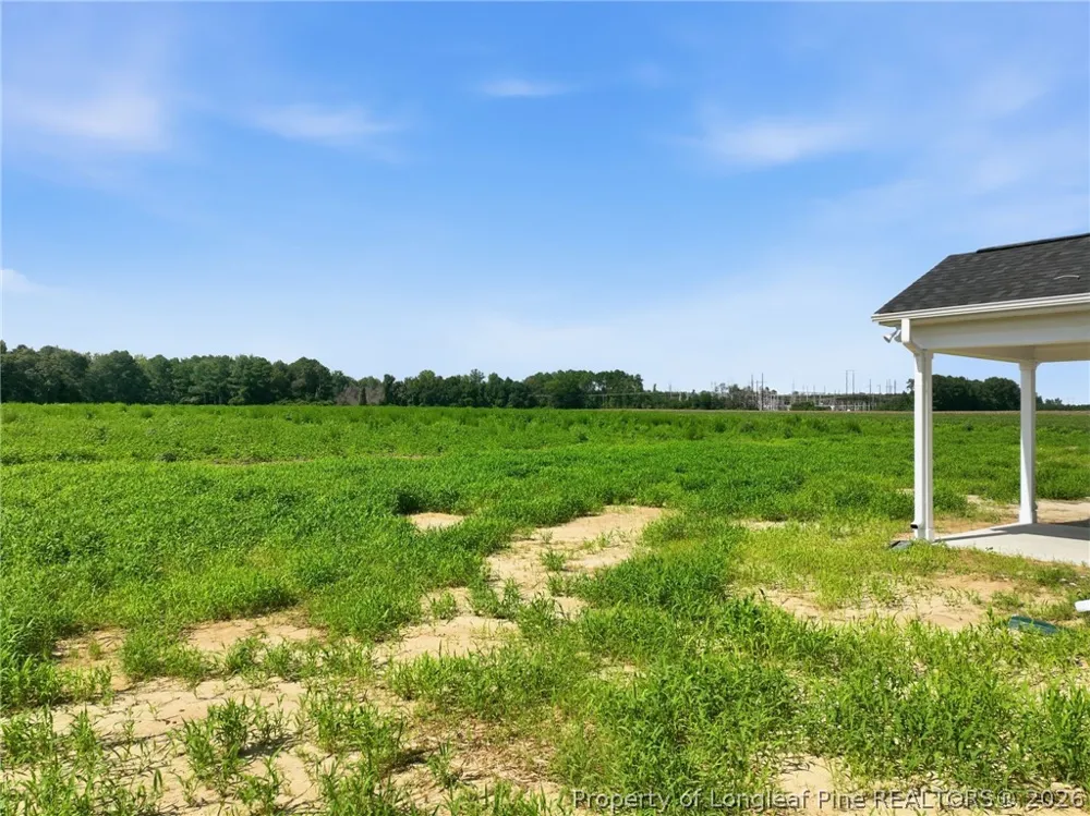 3563 Old Wire (Lot 2) Road Shannon, NC 28386