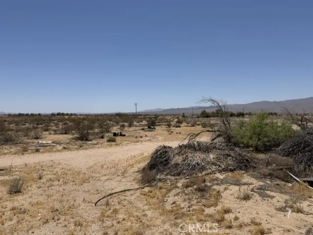 48423 Thoreau Road Newberry Springs, CA 92365