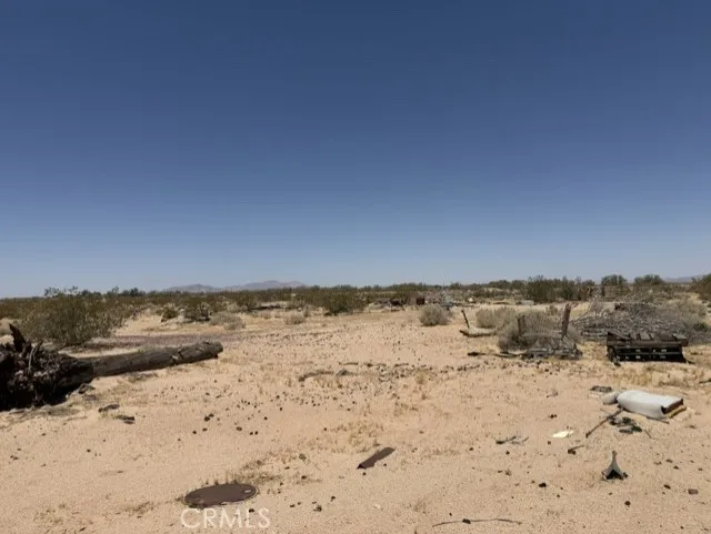 48423 Thoreau Road Newberry Springs, CA 92365