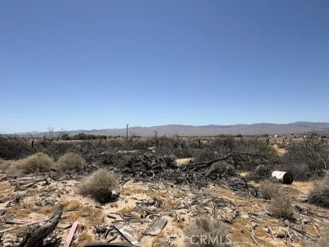 48423 Thoreau Road Newberry Springs, CA 92365