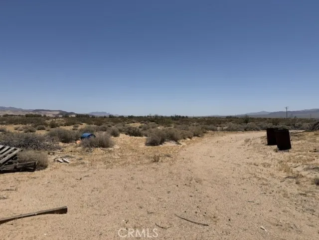 48423 Thoreau Road Newberry Springs, CA 92365