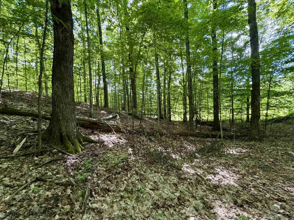 10 Broken Club Drive Custer Township, MI 49615
