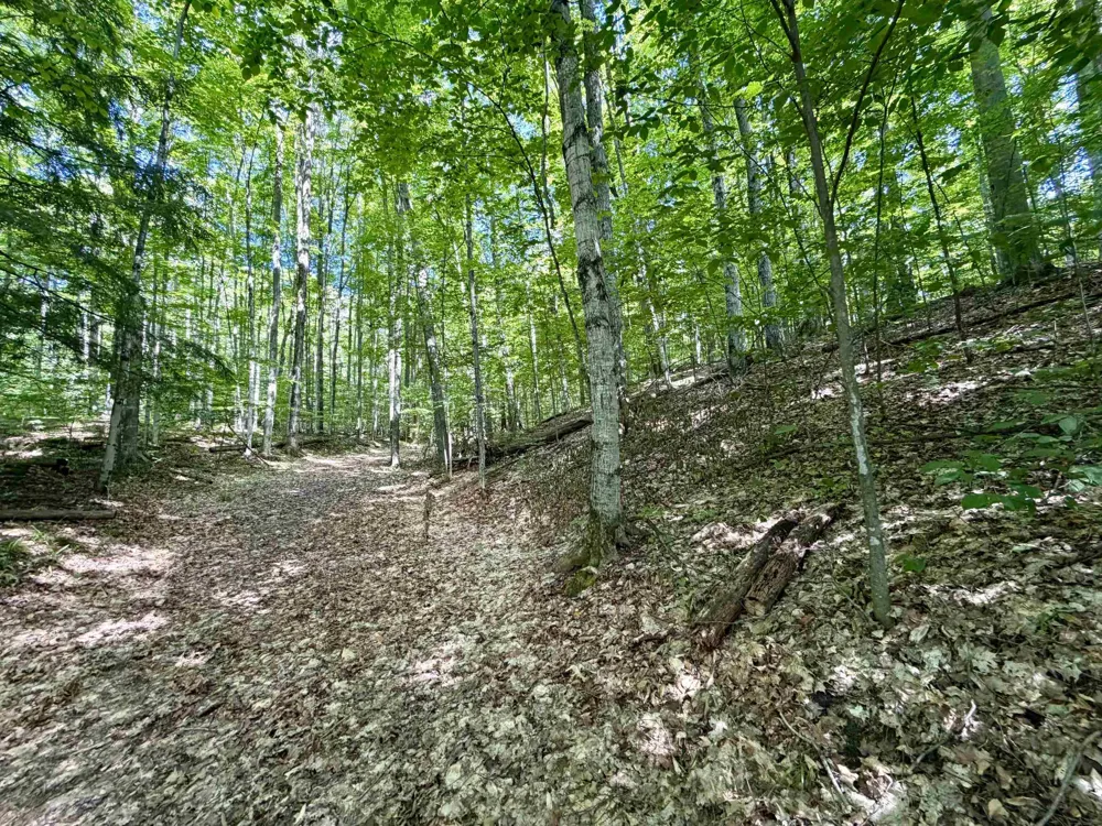 10 Broken Club Drive Custer Township, MI 49615