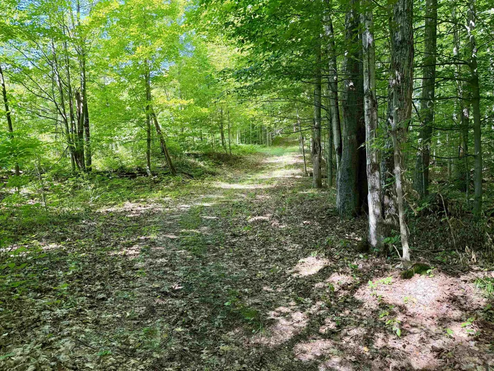 10 Broken Club Drive Custer Township, MI 49615
