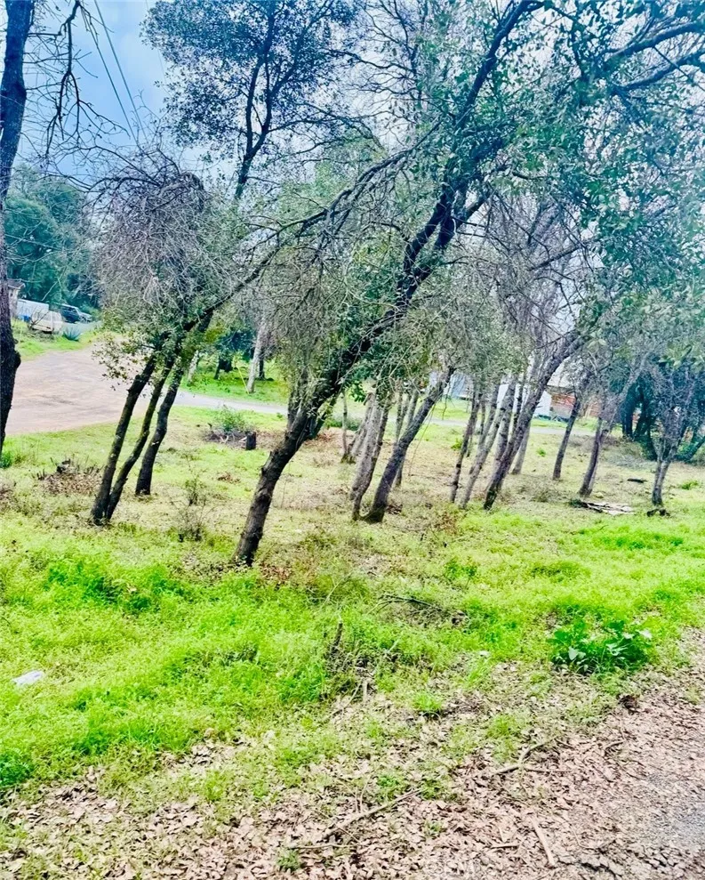 5976 Armijo Clearlake, CA 95422