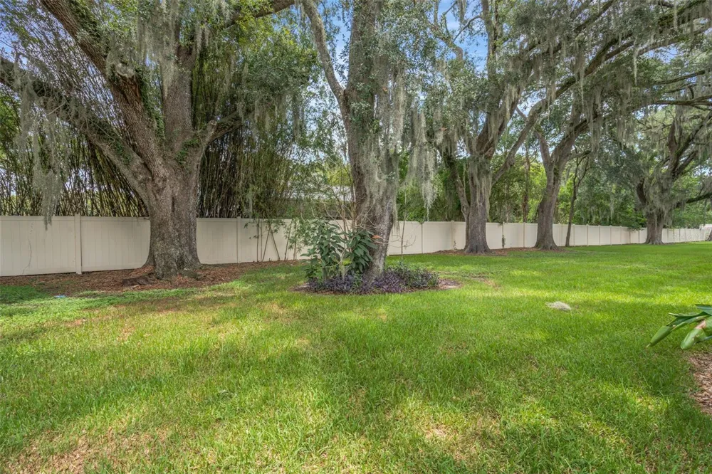 2958 ROYAL TUSCAN LANE Valrico, FL 33594