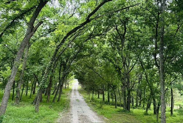 303 Celtic Road Howe, TX 75459